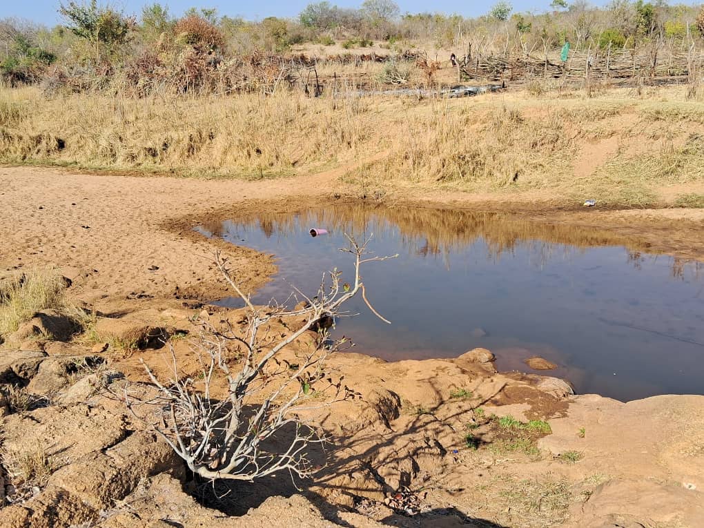 WhatsApp Image 2025-01-29 at 16.57.29